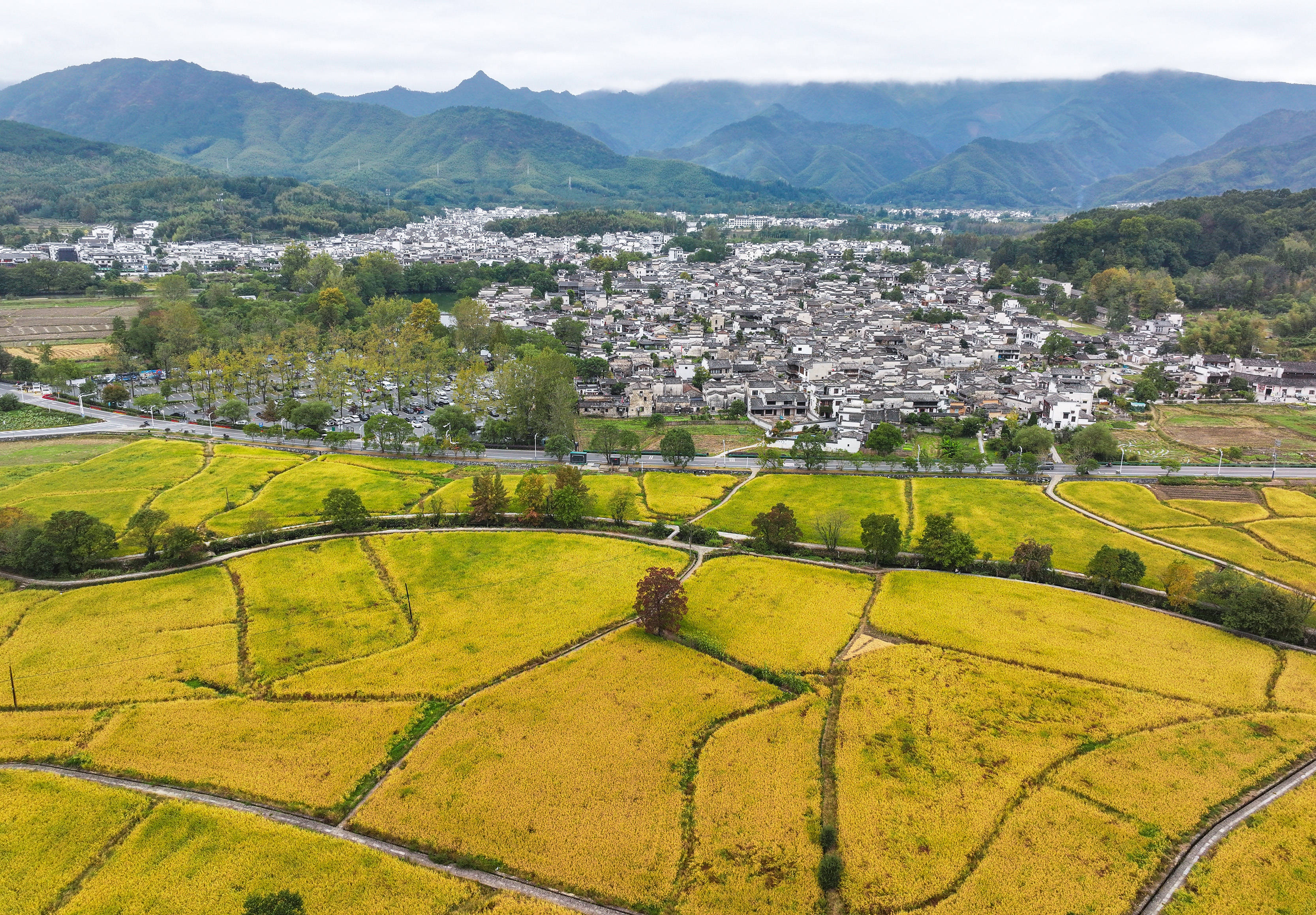 黄山黟县国际乡村旅游度假区景点图片