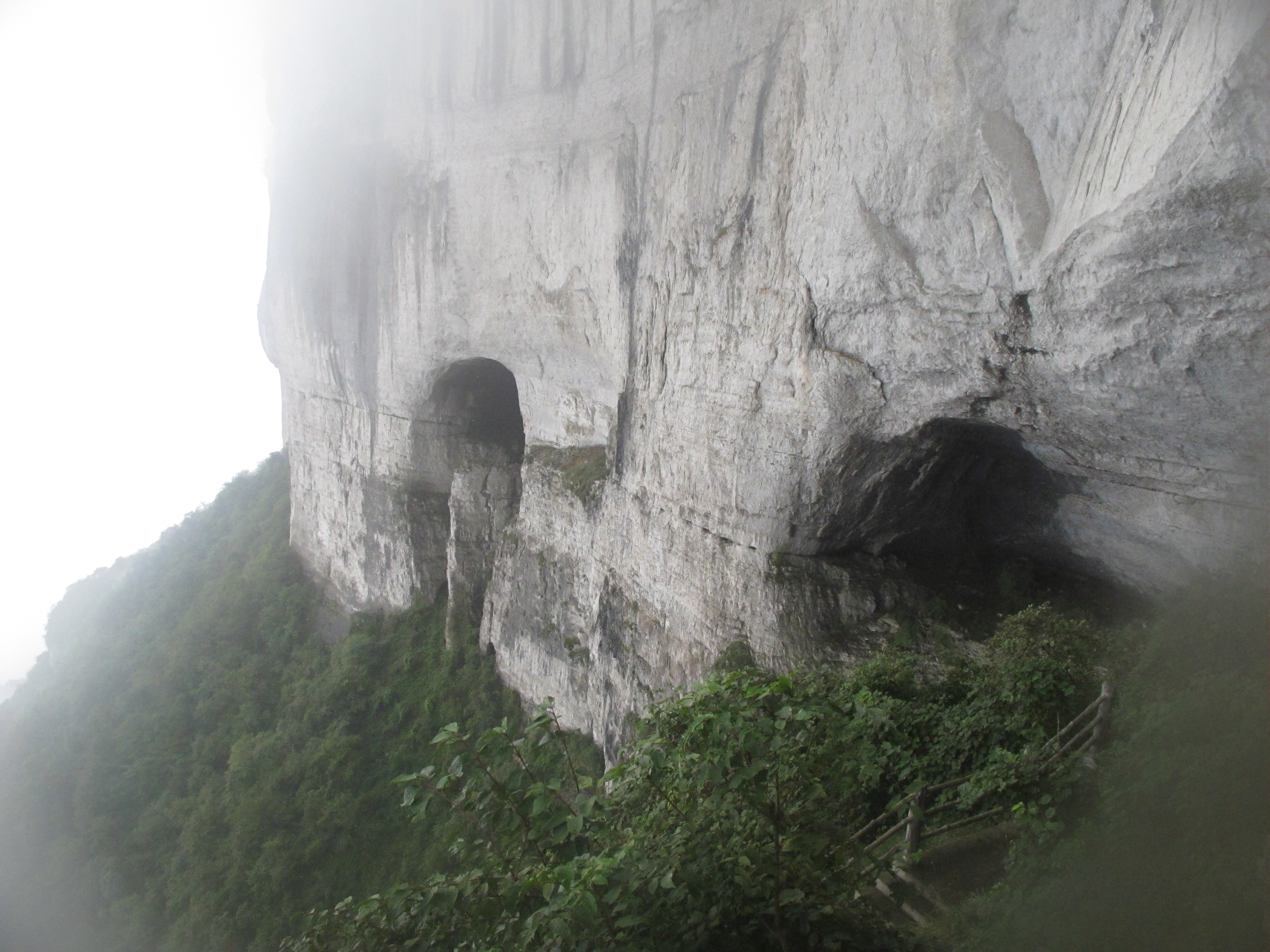 金佛山景区景点图片