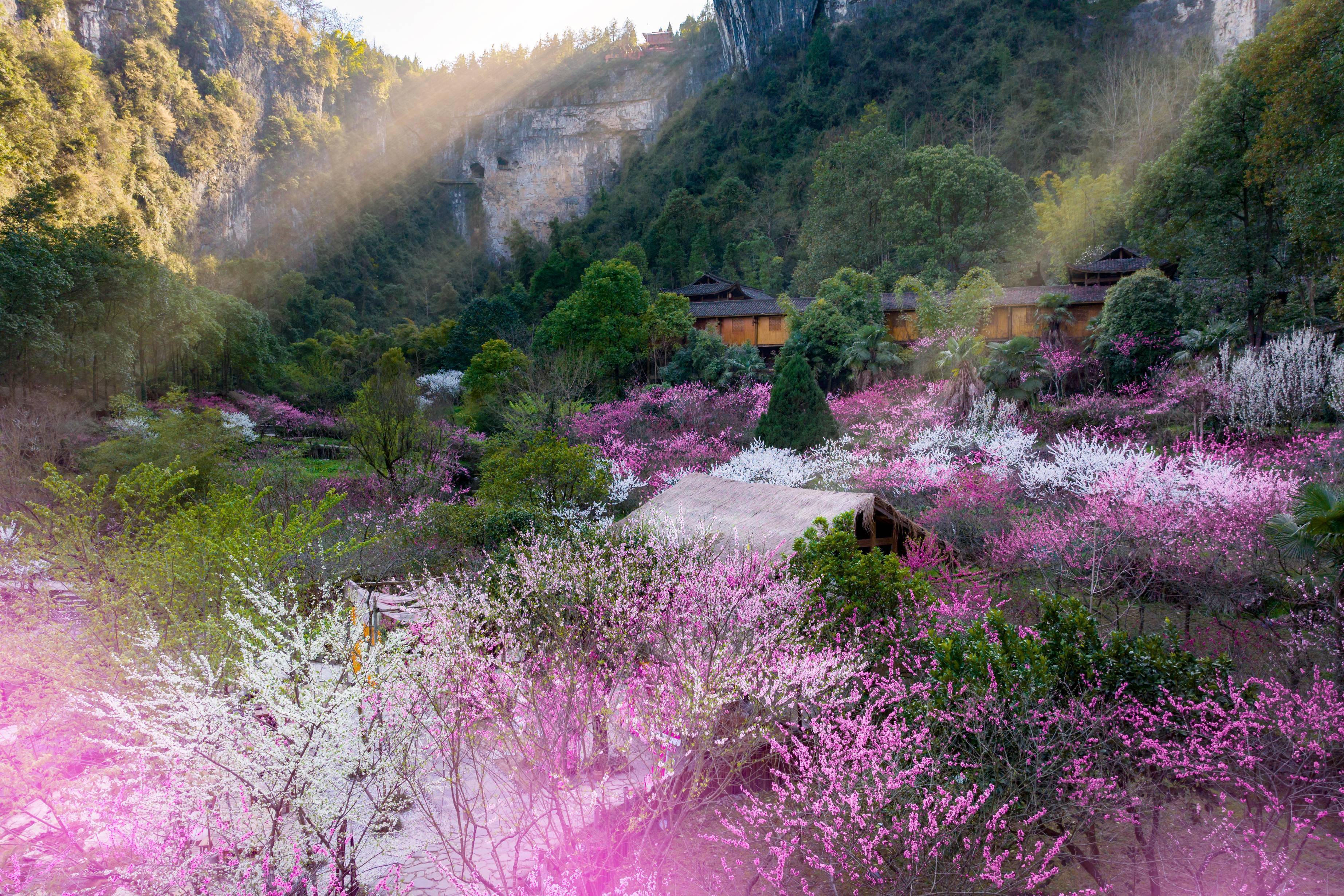 桃花源旅游景区景点图片