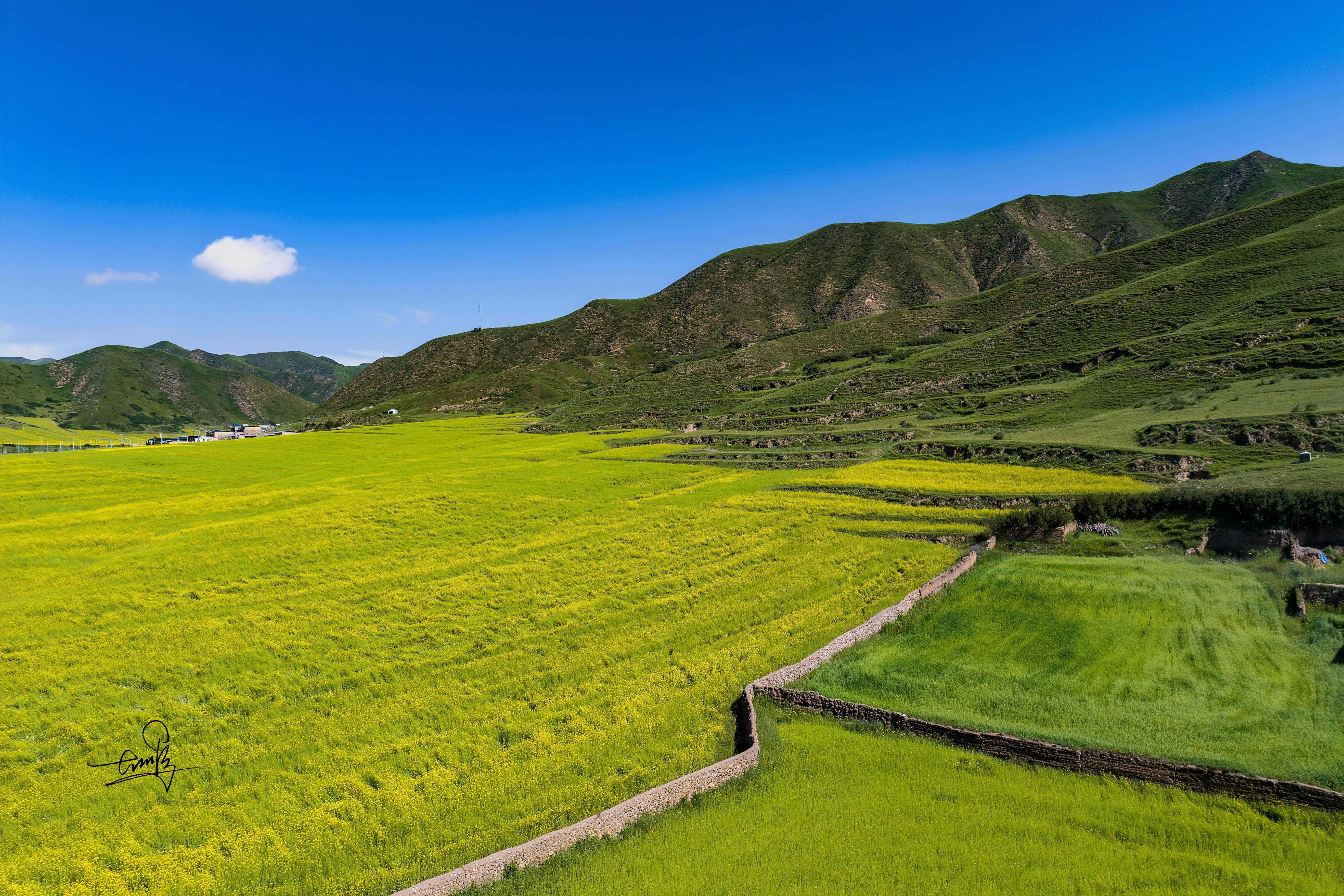 甘南草原景点图片
