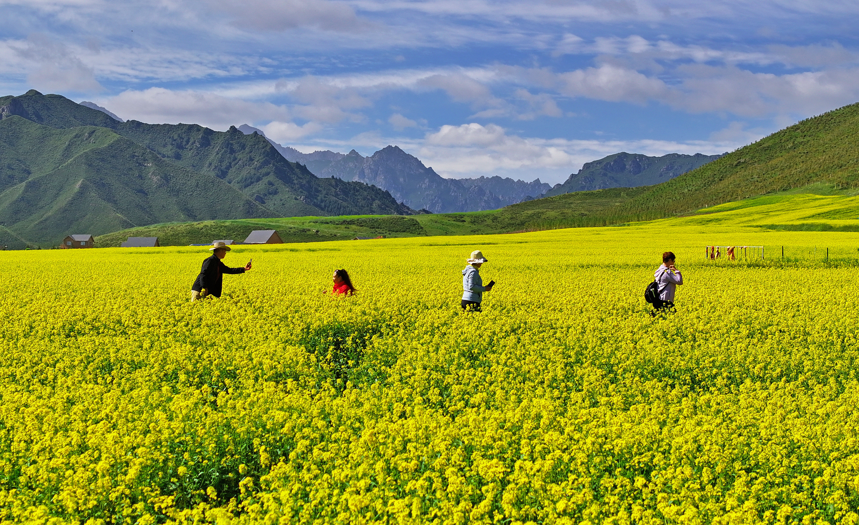 扁都口生态旅游区景点图片