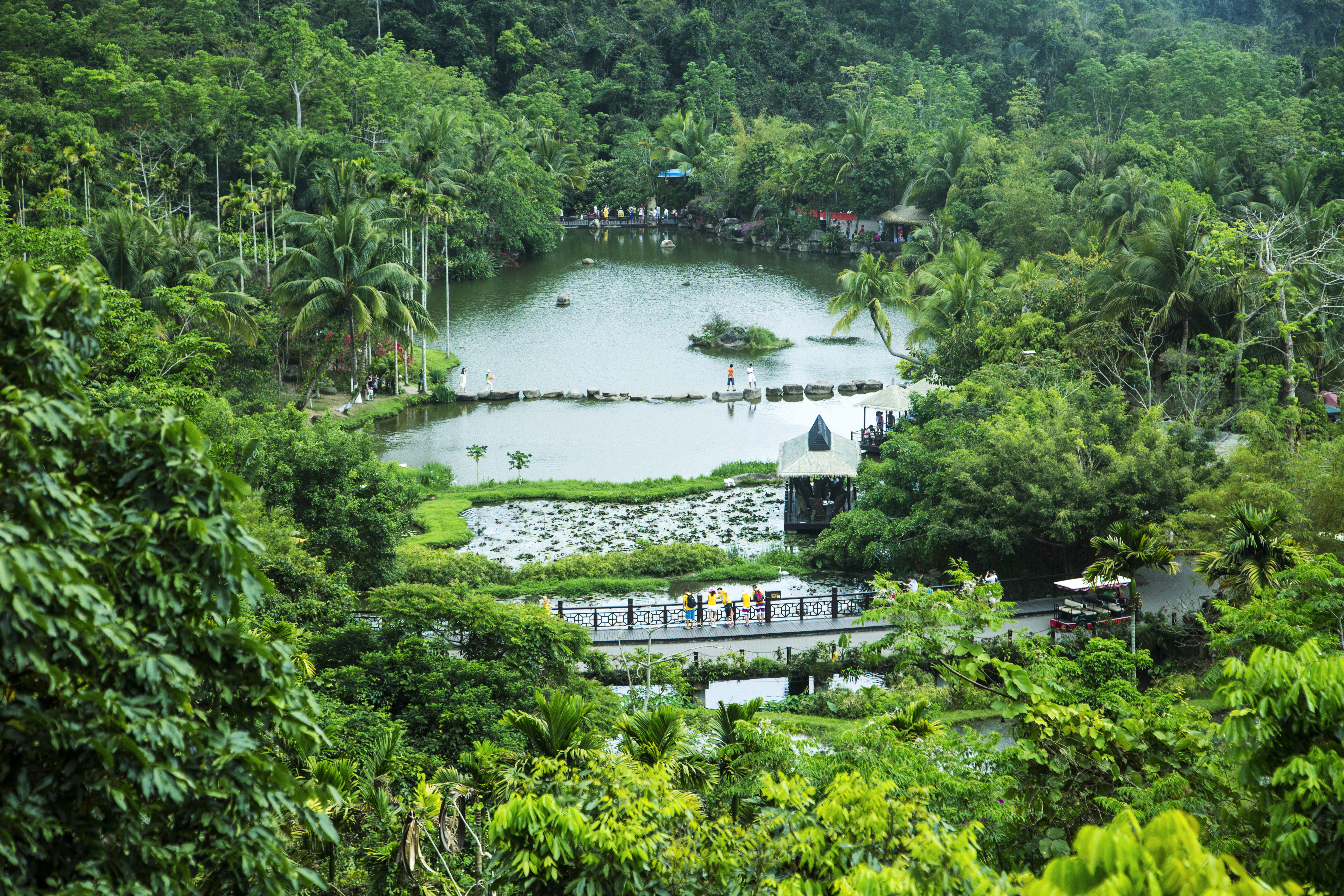 呀诺达雨林文化旅游区景点图片