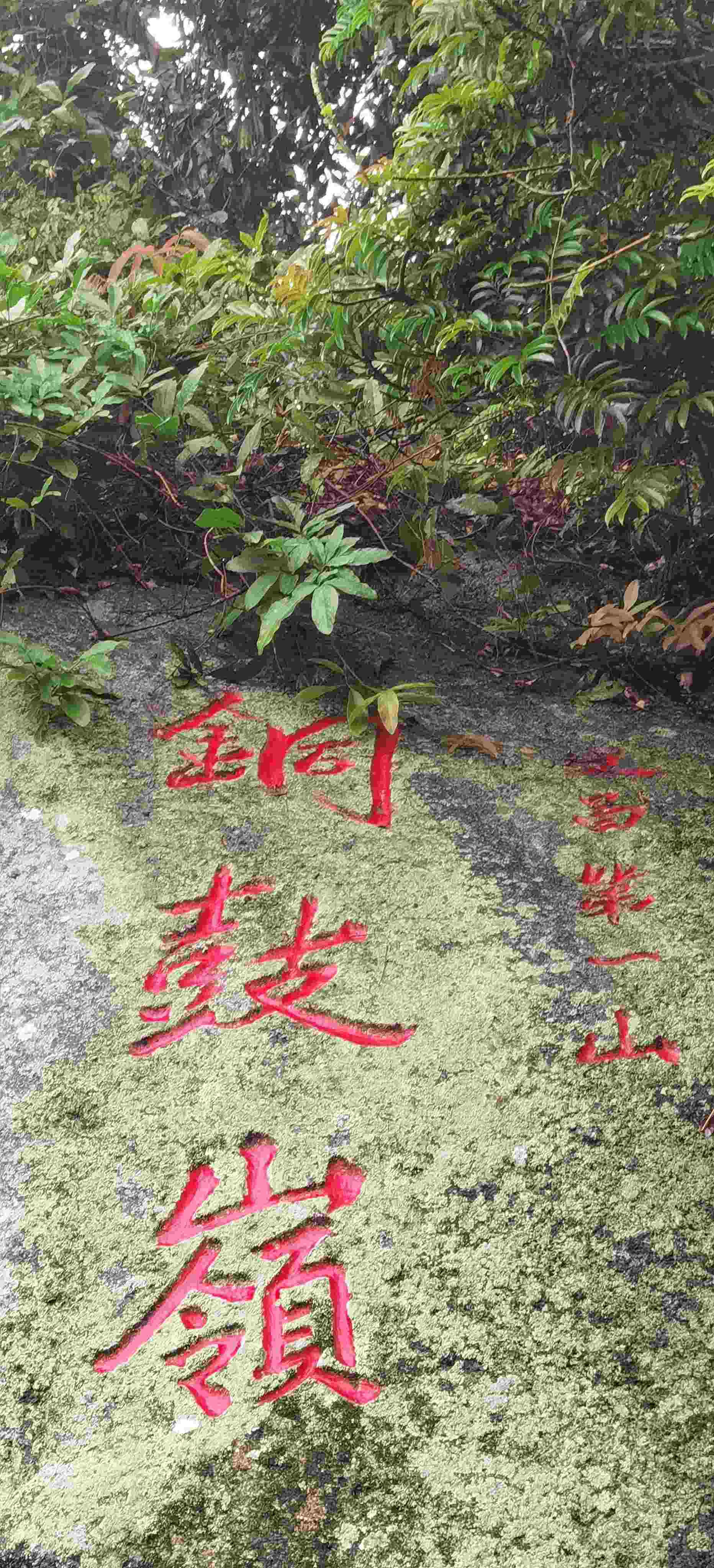 铜鼓岭景点图片