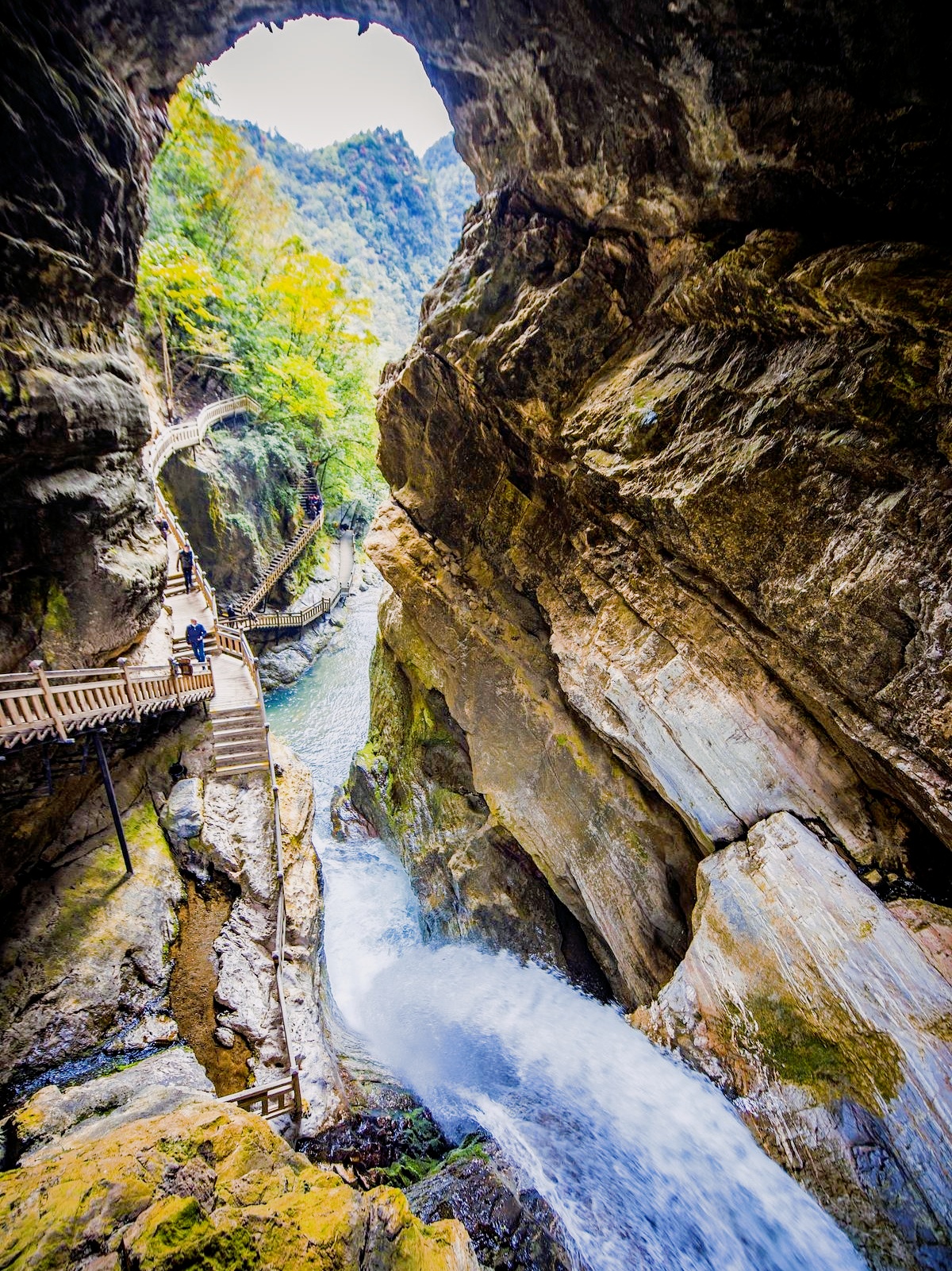 神农架生态旅游区景点图片