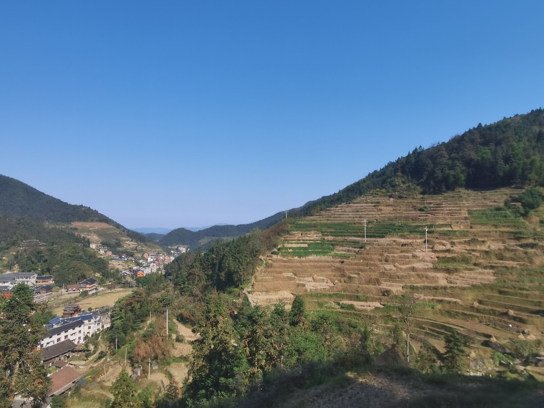 紫鹊界梯田景点图片