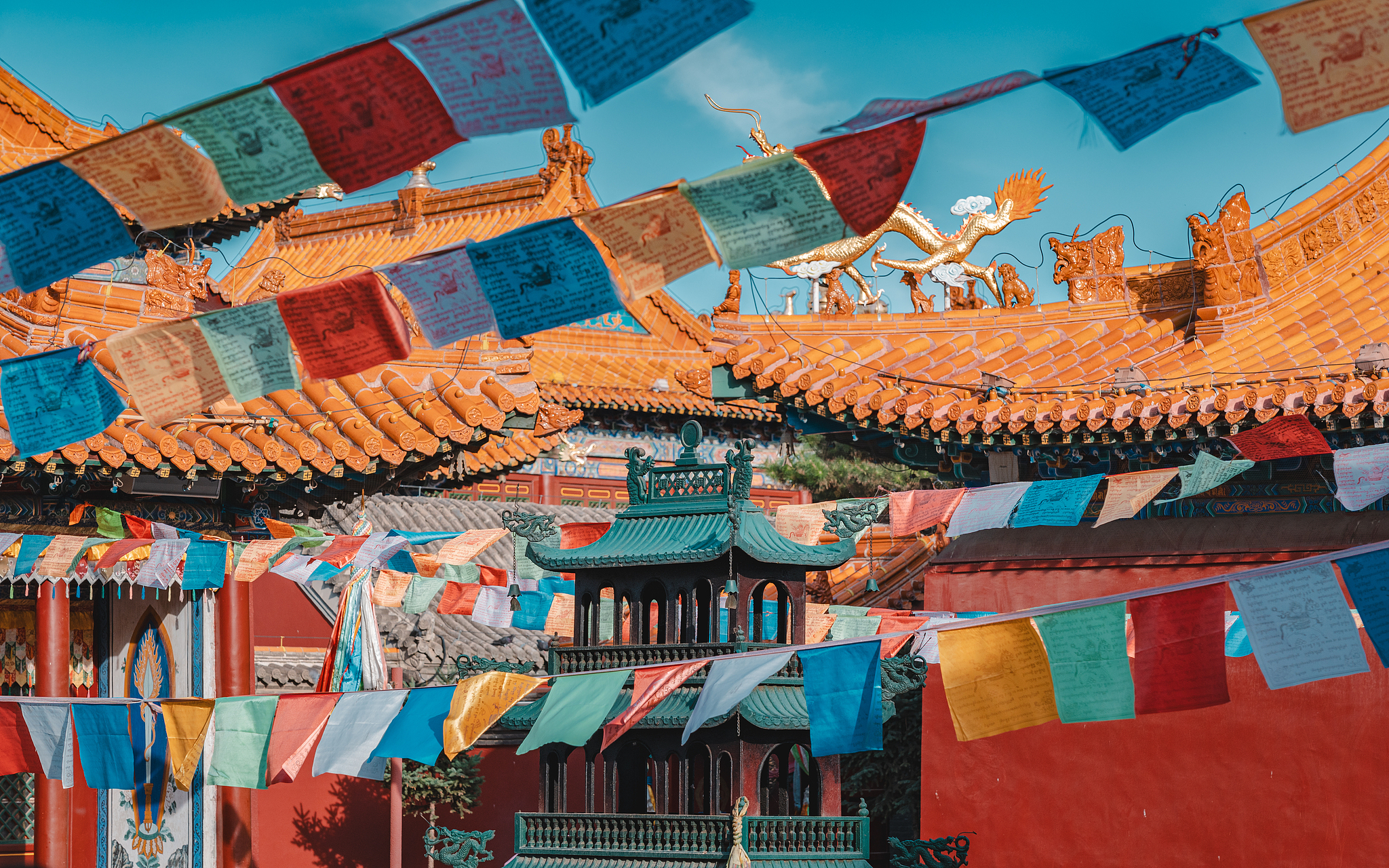 大召寺景点图片