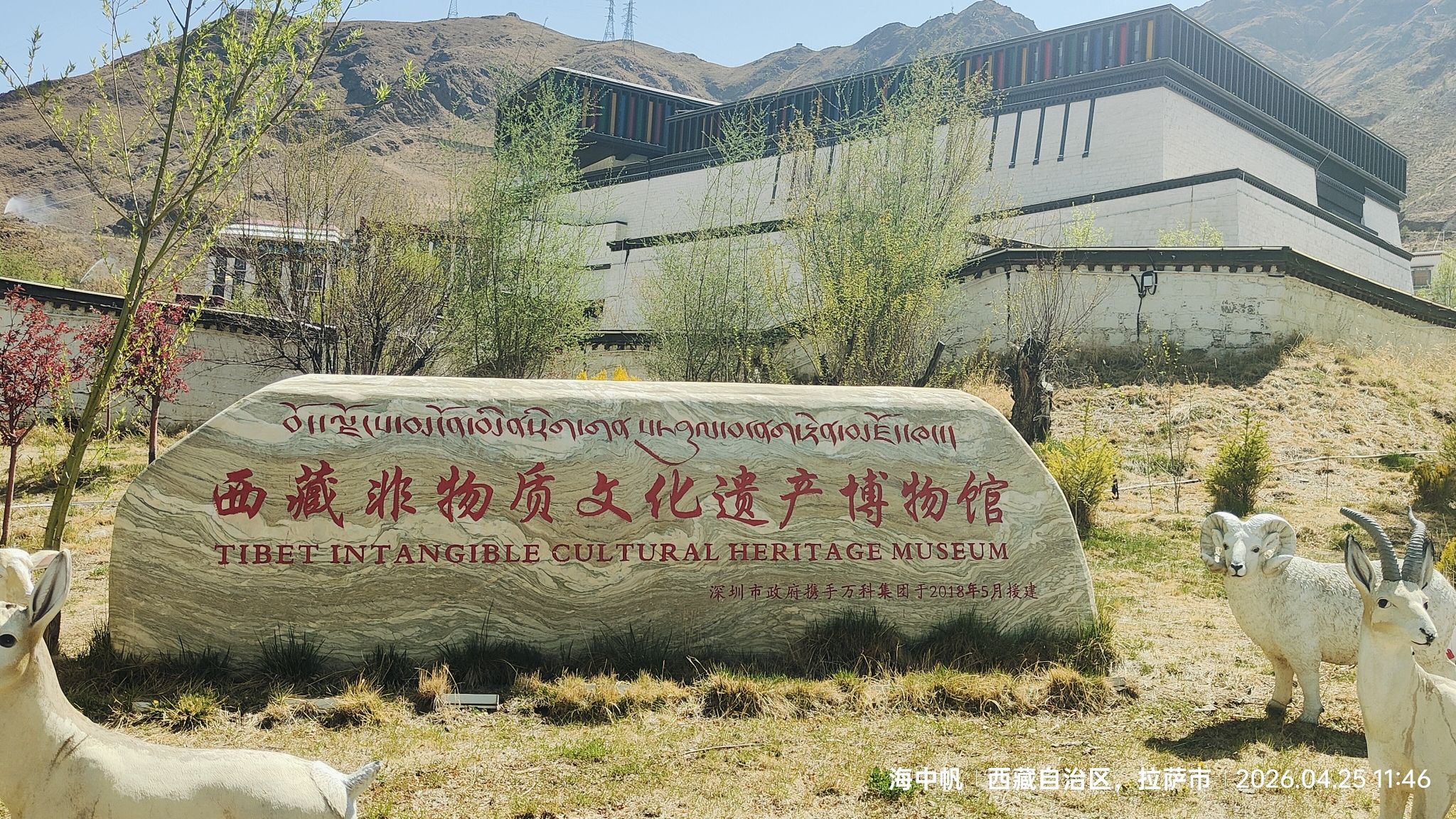 西藏非物质文化遗产博物馆景点图片