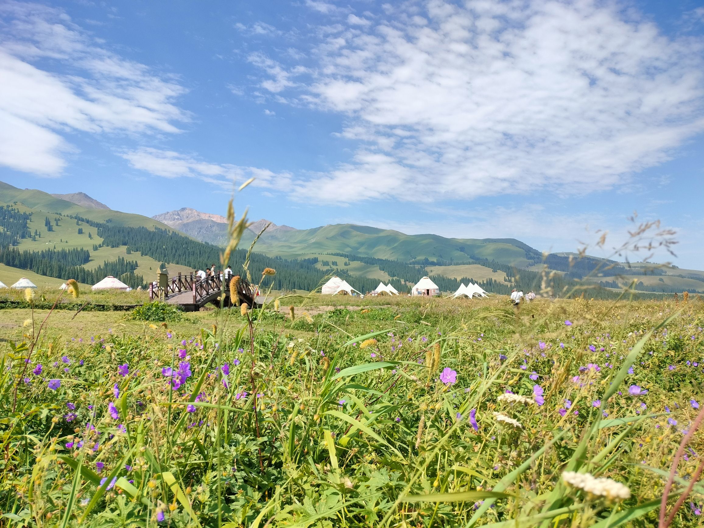 那拉提旅游风景区景点图片
