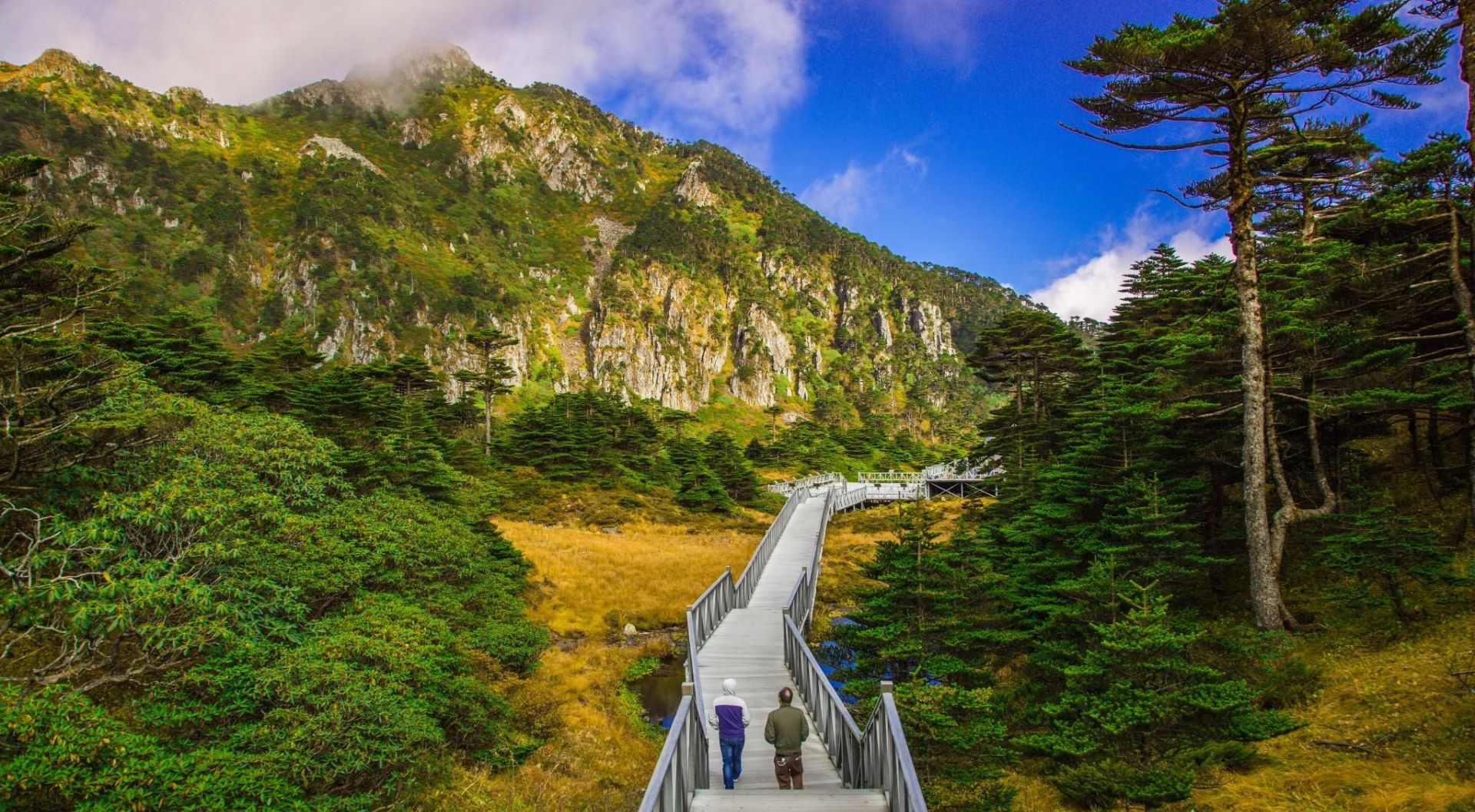 苍山景点图片