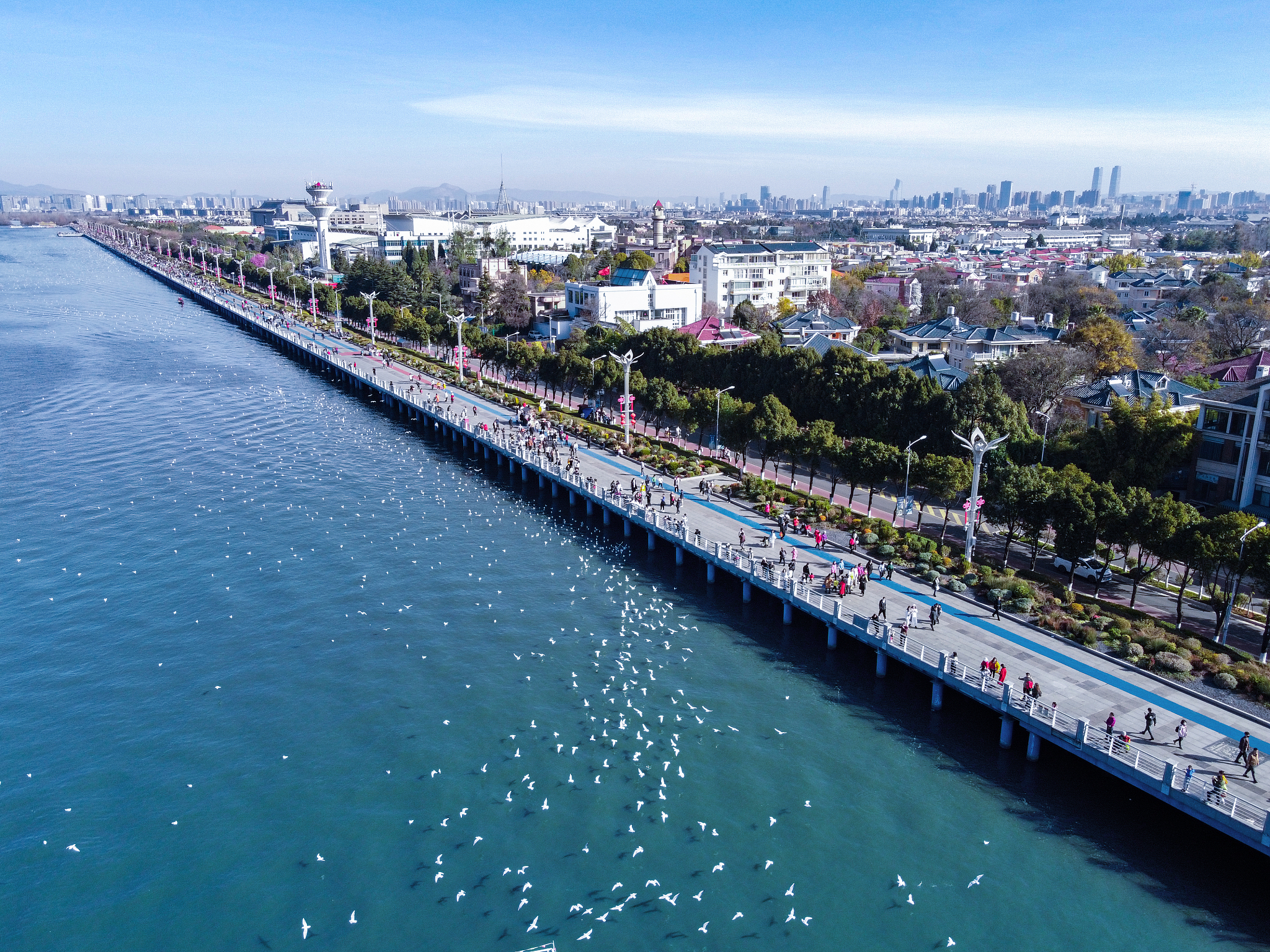 滇池海埂大坝景点图片